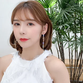 Obraz-tanko dolgo kristalno tassel uhani ženski korejski dolgo temperament uhani 2019 nov trend line uhani