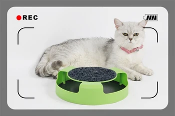Blagovne znamke Luksuzni mačka mačka igrače Nevihte usposabljanje Igrače Za Mačke mačji blaznost z nič pad nego in zabavo, vse v enem Plastične Igrače Miši